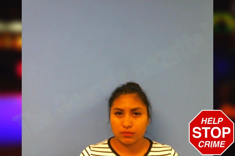 Amarilys Jeronimo-Sales Mugshots