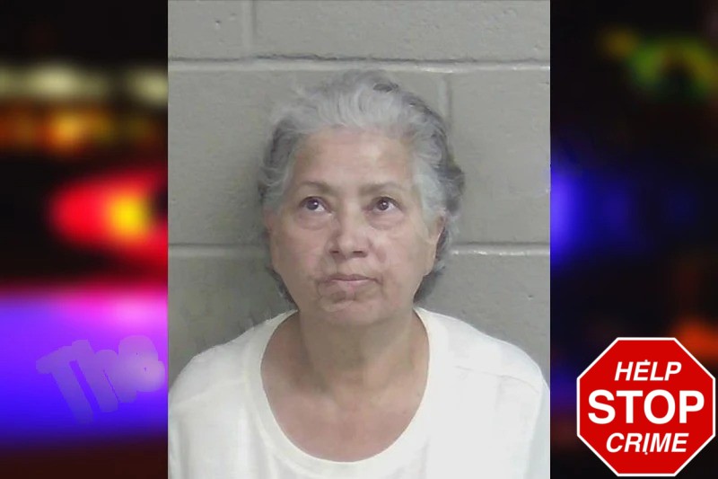 Amary Hernandez mugshot