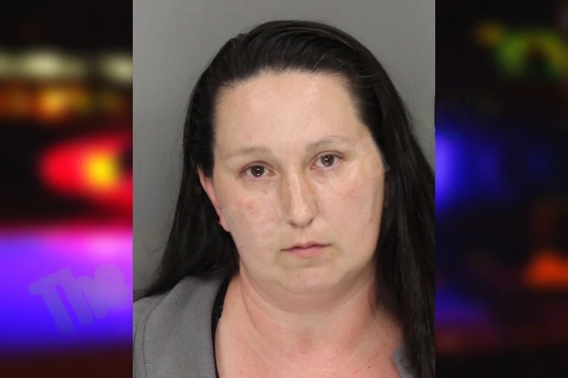 Amber Arnold mugshot – Cobb County , Georgia Amber Arnold mugshot