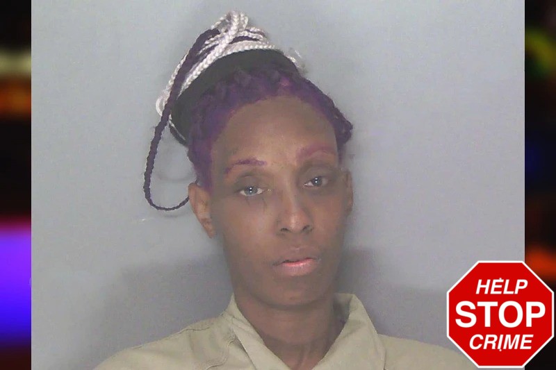 Amber Bailey mugshot