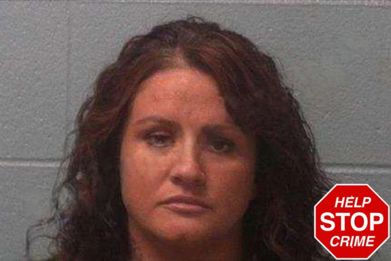 Amber Blakely mugshot – Franklin County , Georgia Amber Blakely
