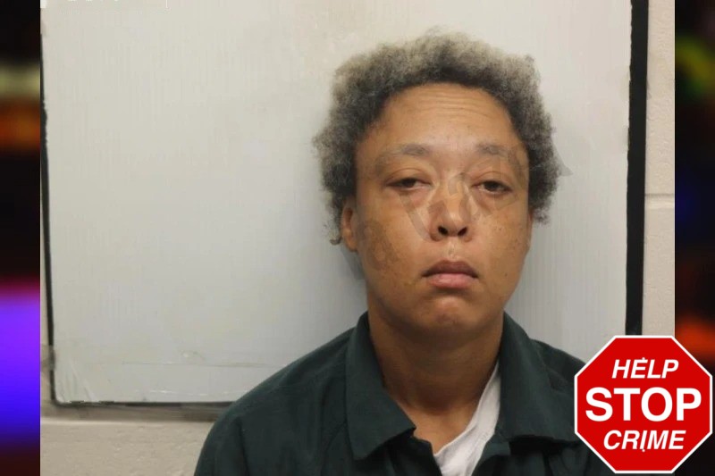 Amber Brailsford Mugshots