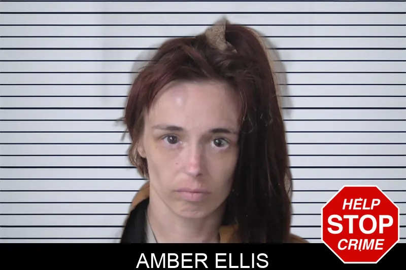 Amber Ellis Mugshots
