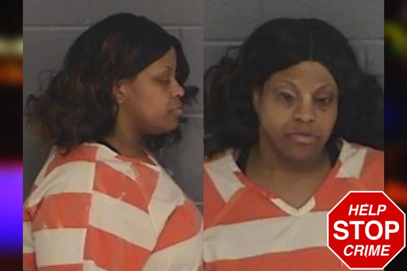 Amber Johnson mugshot