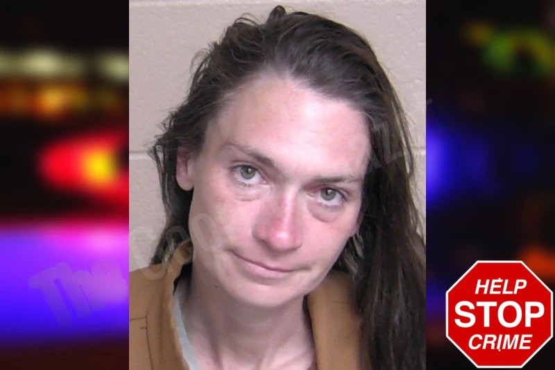 Amber Ooten mugshot – Walker County , Georgia Amber Ooten mugshot