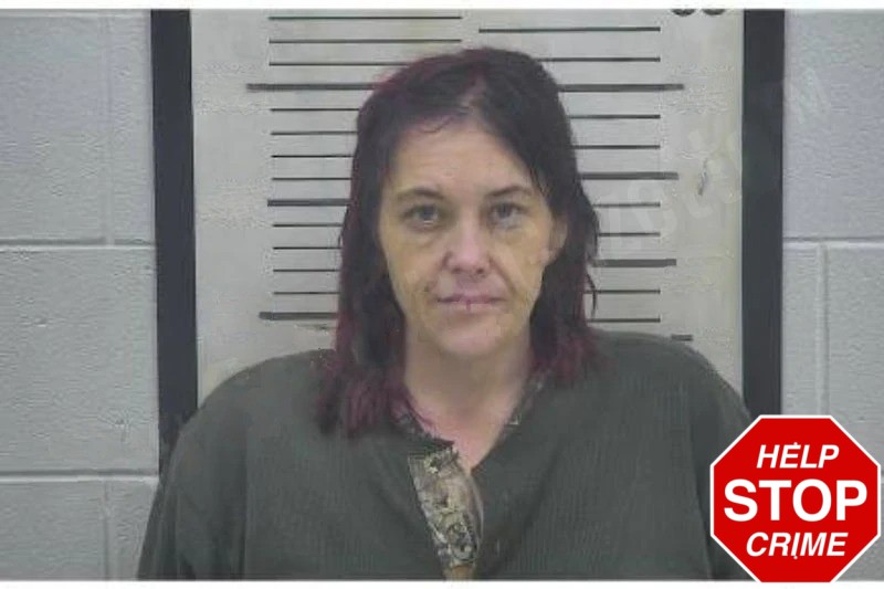 Amber Purvis Mugshots