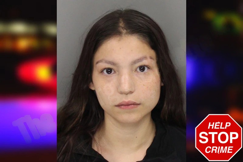 Amber Reyes Mugshots