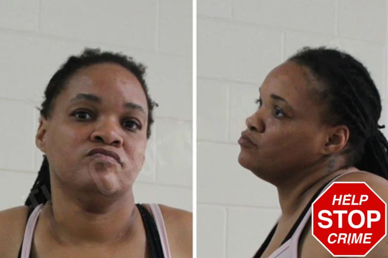 Ameena Jones Mugshots
