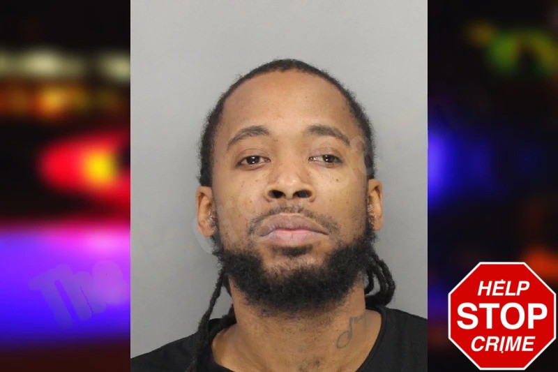 Amonie Reese Mugshots