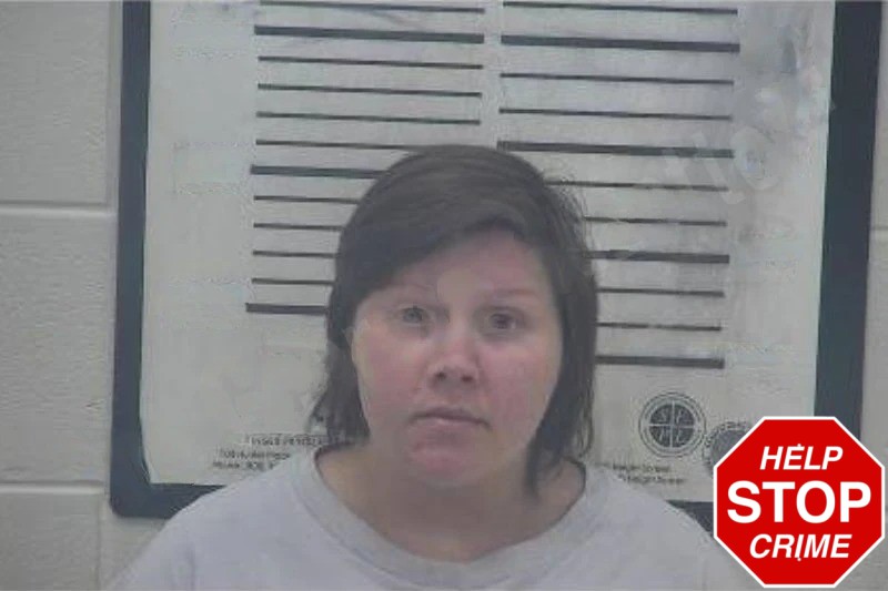 Amy Anderson Mugshots