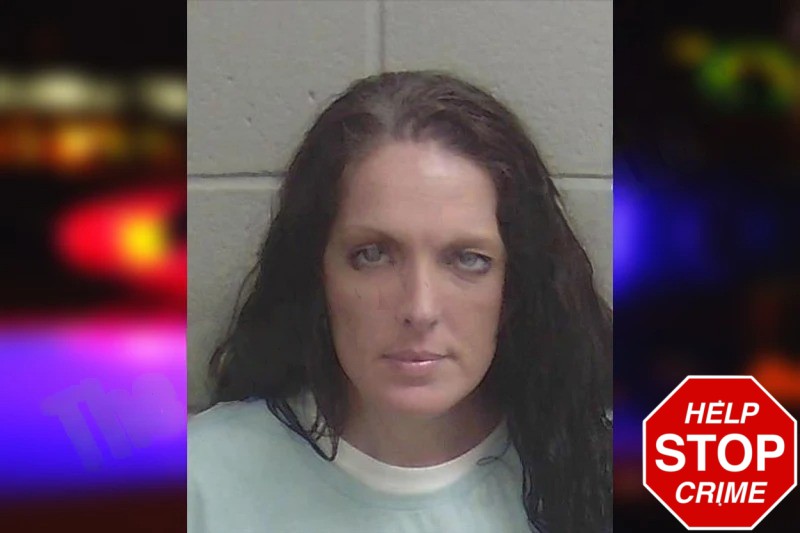 Amy Brannen Mugshots