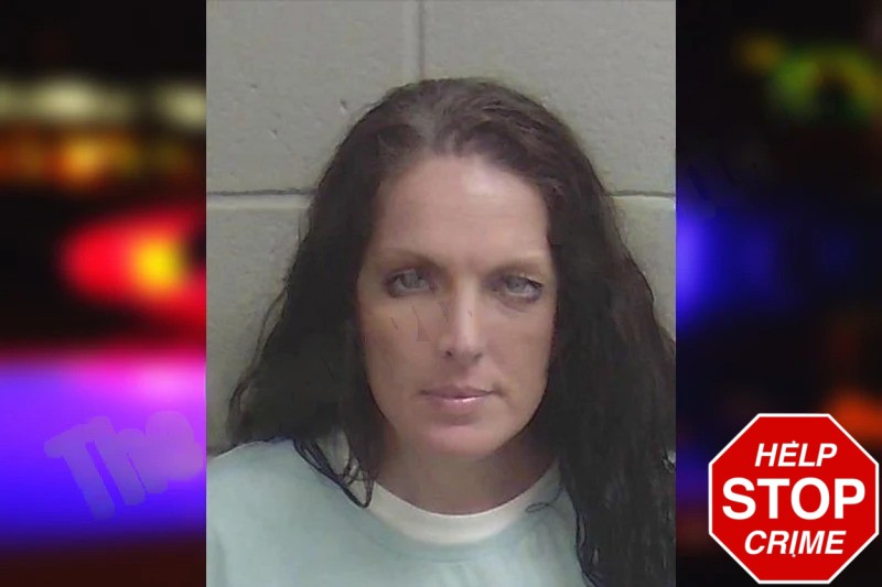 Amy Brannen Mugshots