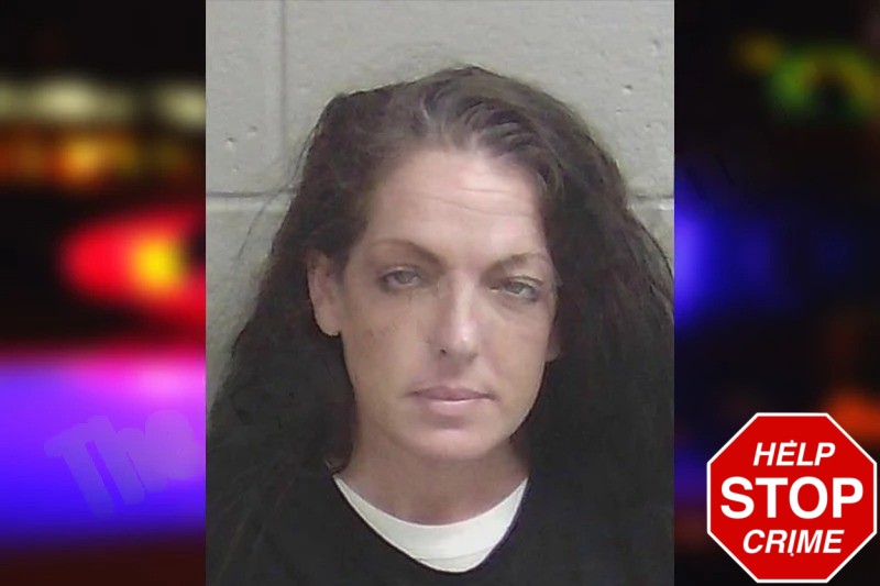 Amy Brannen Mugshots