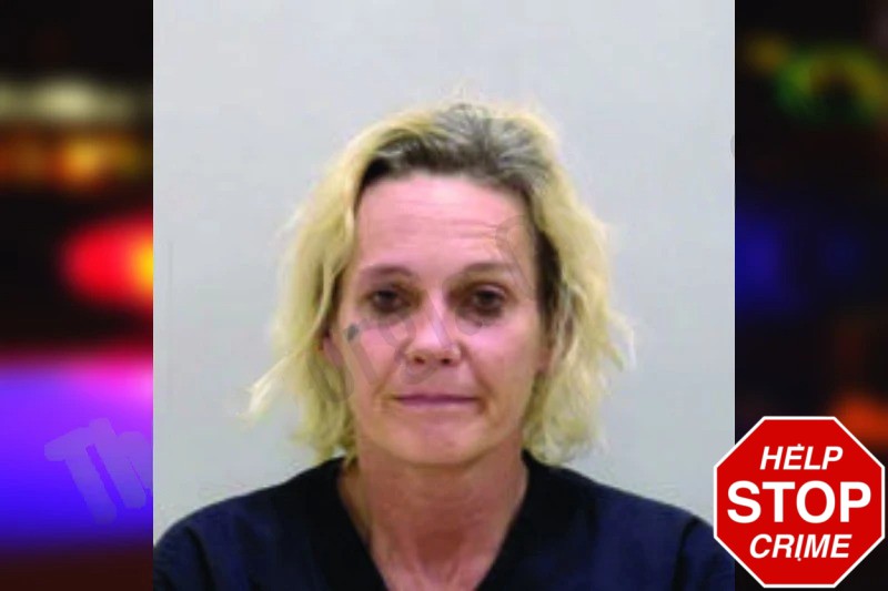 Amy Dipenti Mugshots