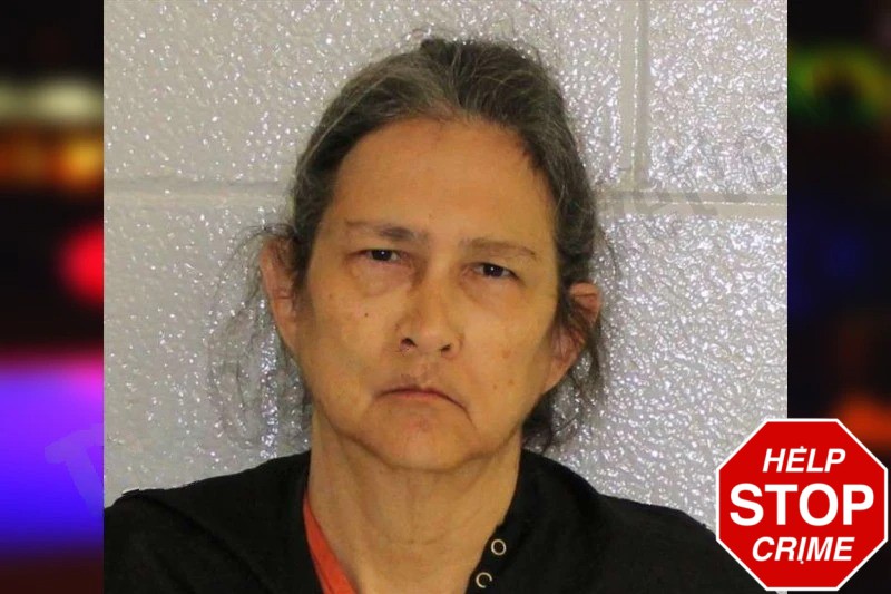 Amy Hollingsworth Mugshots