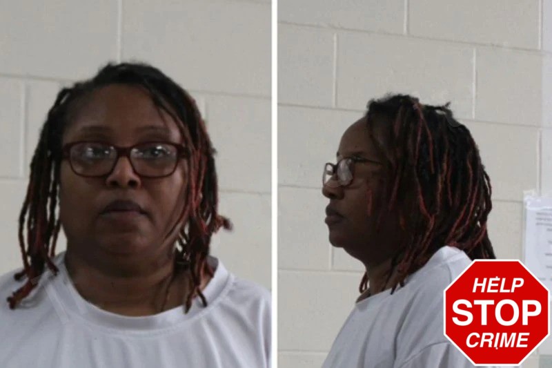 Amy Johnson-Moore mugshot – Houston County , Georgia Amy Johnson-Moore mugshot