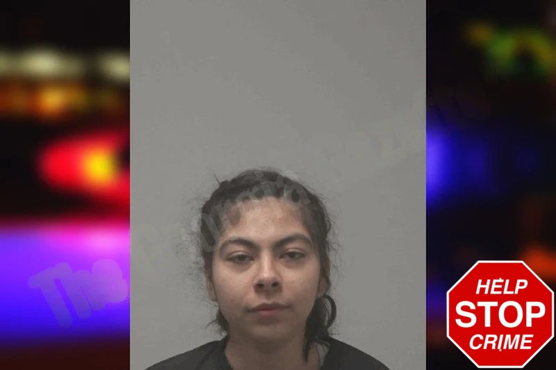 Amy Palomino Mugshots