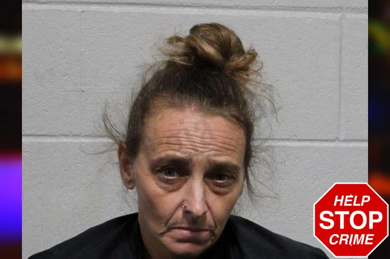 Amy Strickland Mugshots