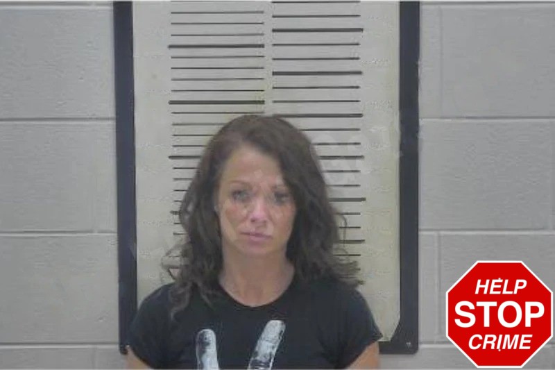 Amy Thurston Mugshots