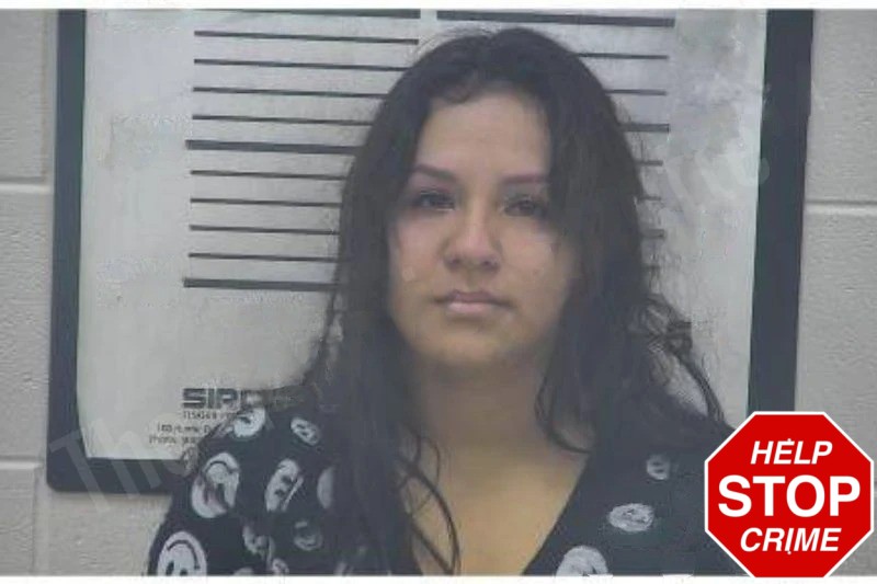 Ana Flores Mugshots