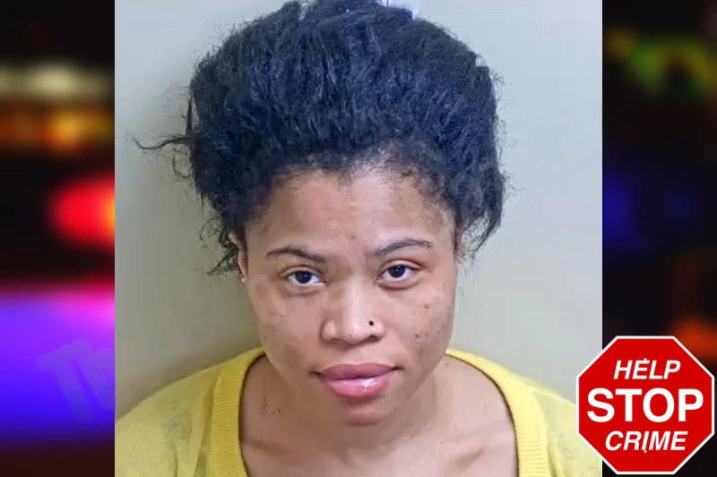 Ana Royo-Ncogo mugshot – Gwinnett County , Georgia Ana Royo-Ncogo mugshot