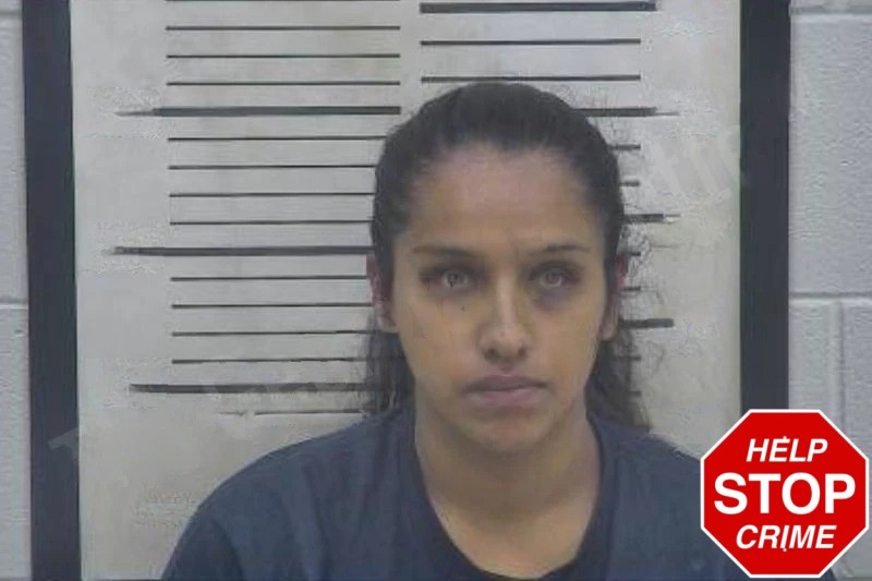Ana Sanchez-Tovar Mugshots