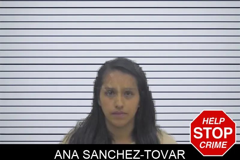 Ana Sanchez-Tovar Mugshots