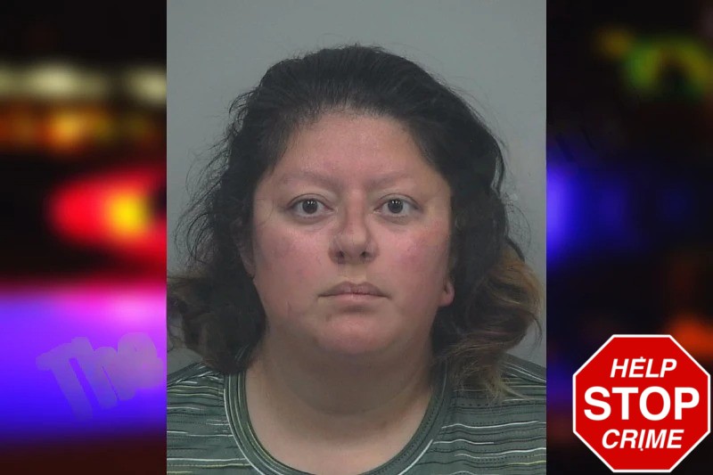 Anabel Orosco Mugshots