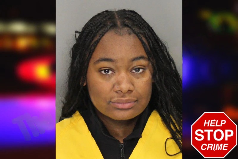 Anayah Pitts Mugshots