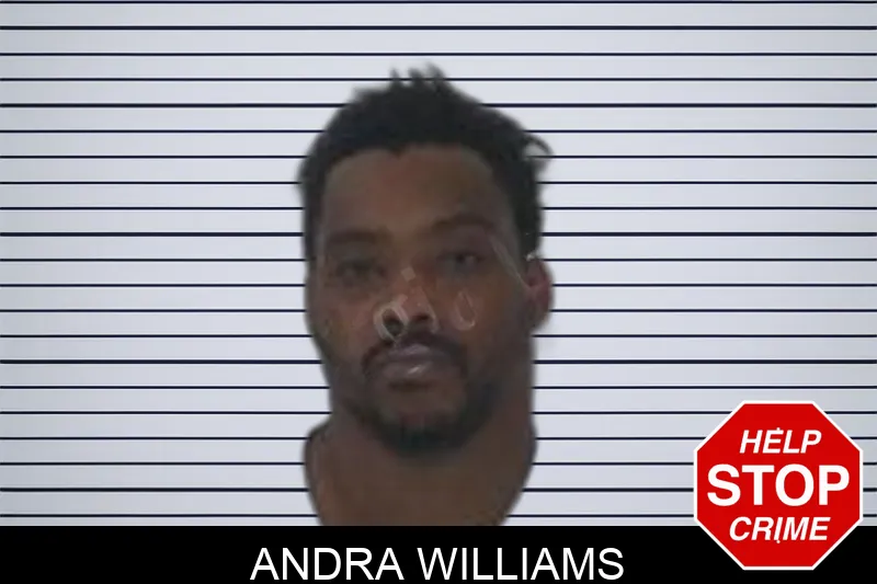 Andra Williams Mugshots