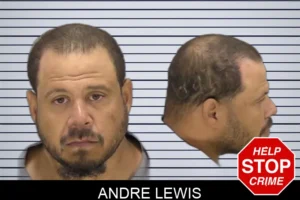 Andre Lewis mugshot