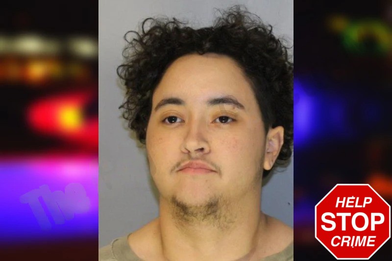 Andrea Castro Mugshots