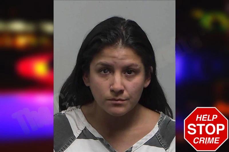 Andrea Correa Mugshots