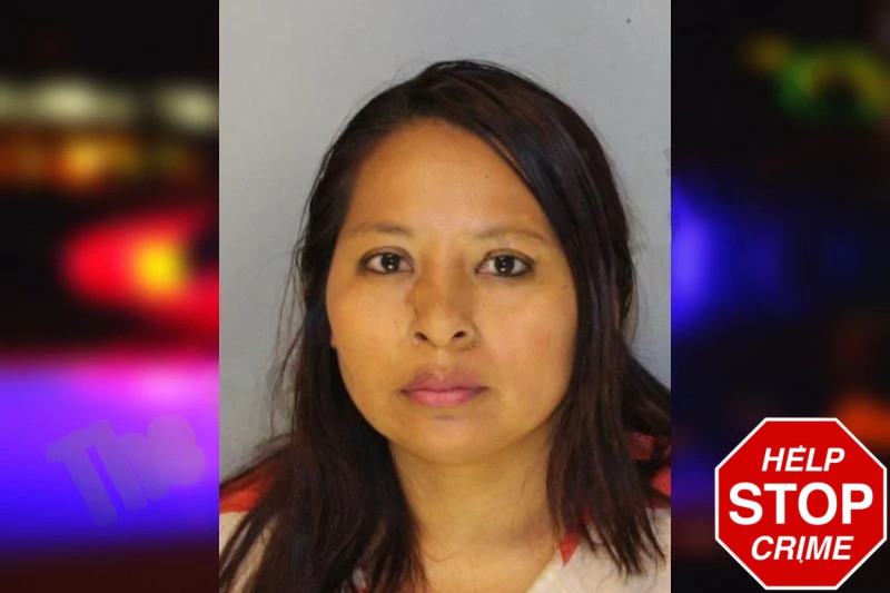 Andrea Domingo-Hernandez Mugshots