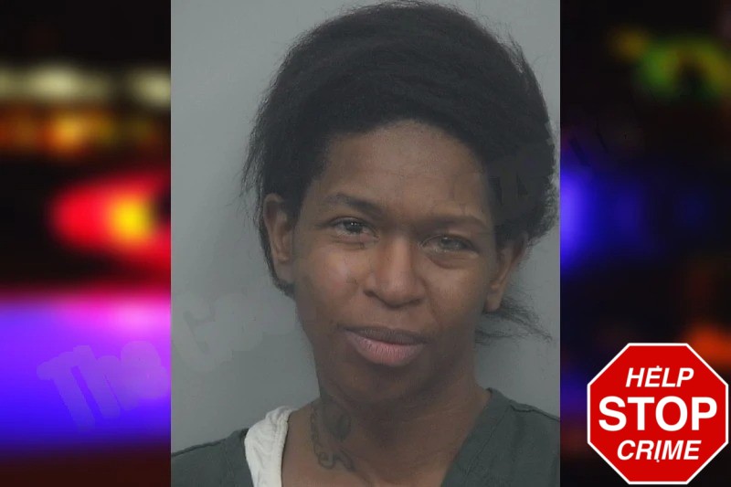 Andrea Folkes Mugshots