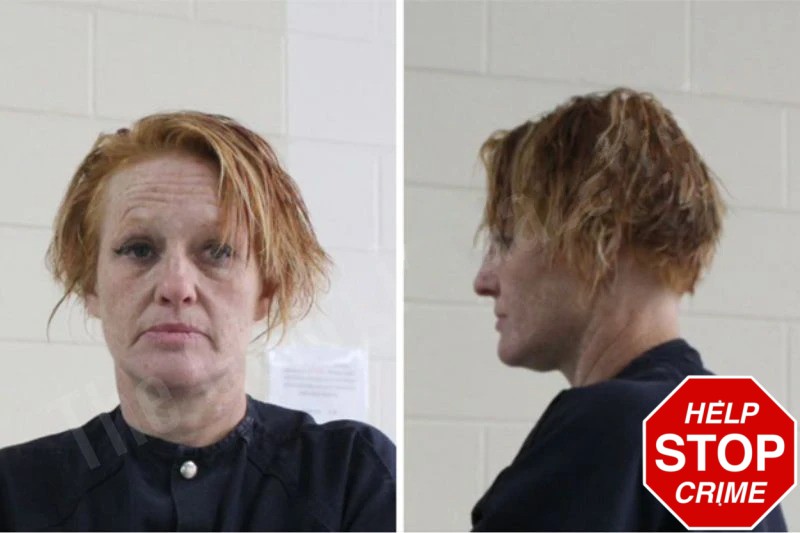 Andrea Mandicino Mugshots