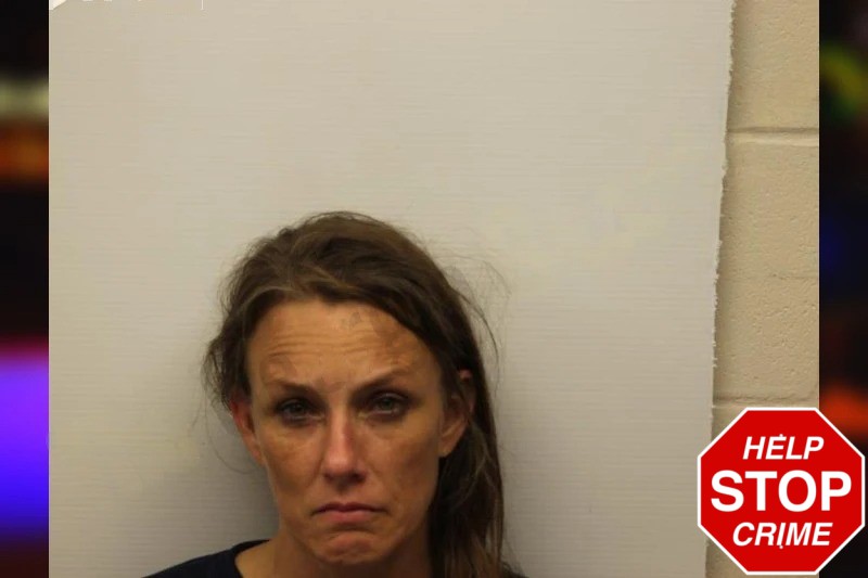 Andrea McCampbell Mugshots