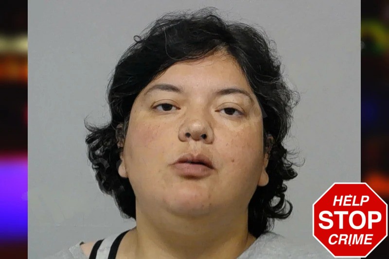 Andrea Schieneman Mugshots