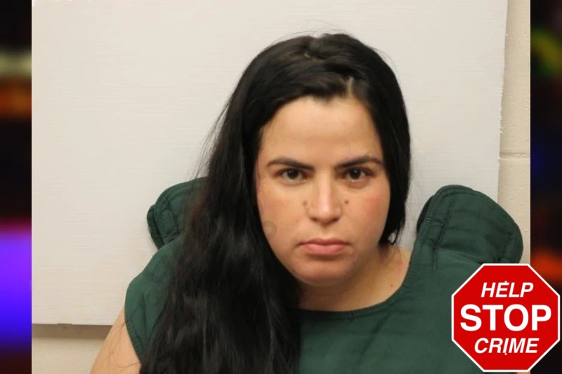 Andreina Fuenmayor mugshot – Chatham County , Georgia Andreina Fuenmayor mugshot