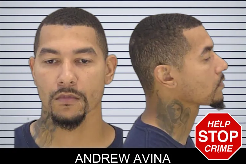 Andrew Avina Mugshots