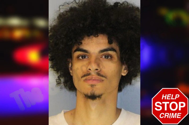 Andrew Hanery Mugshots