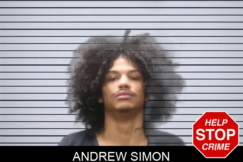 Andrew Simon Mugshots