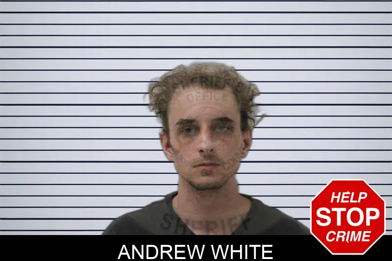 Andrew White Mugshots