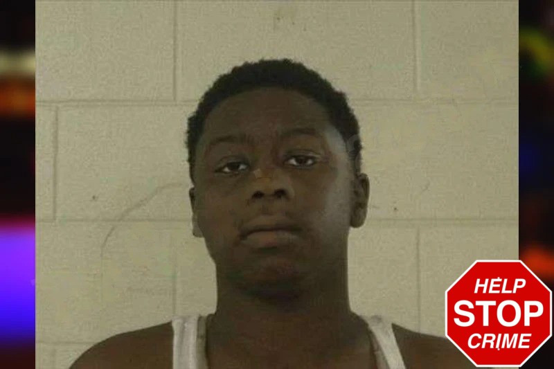 Angel Peterson mugshot