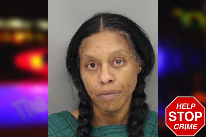 Angel Sullivan mugshot