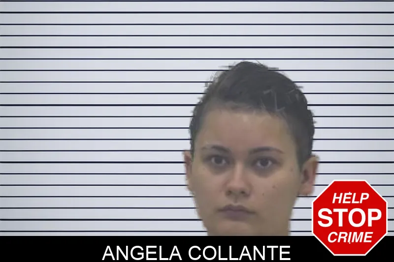 Angela Collante Mugshots