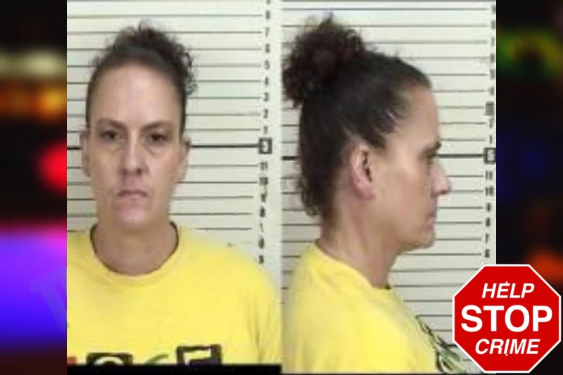 Angela Harmon Mugshots