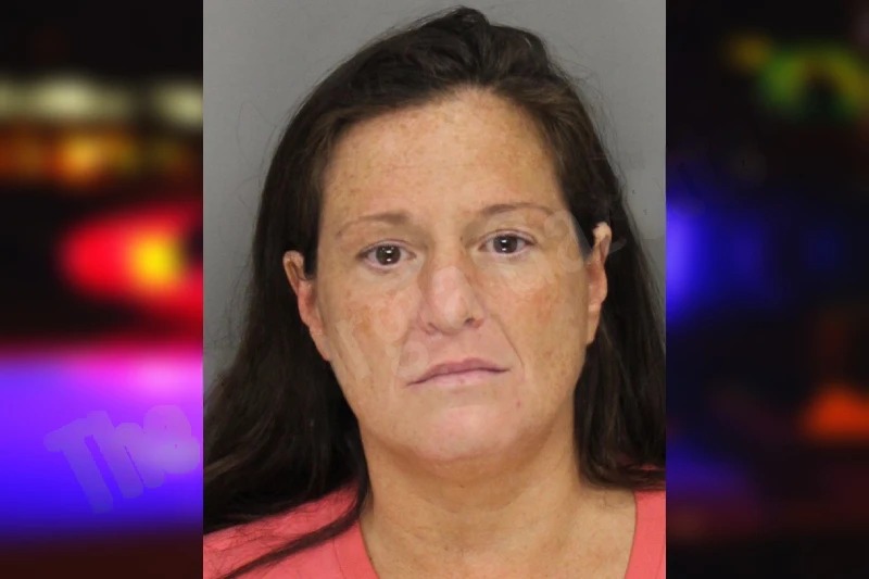 Angela Lonberg Mugshots