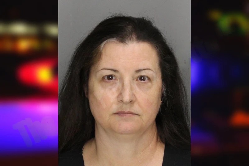 Angela Plummer Mugshots