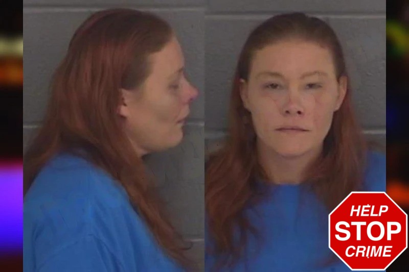 Angela Royse mugshot – Barrow County , Georgia Angela Royse mugshot